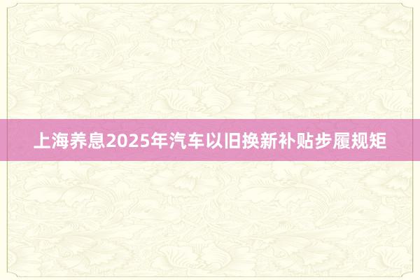上海养息2025年汽车以旧换新补贴步履规矩